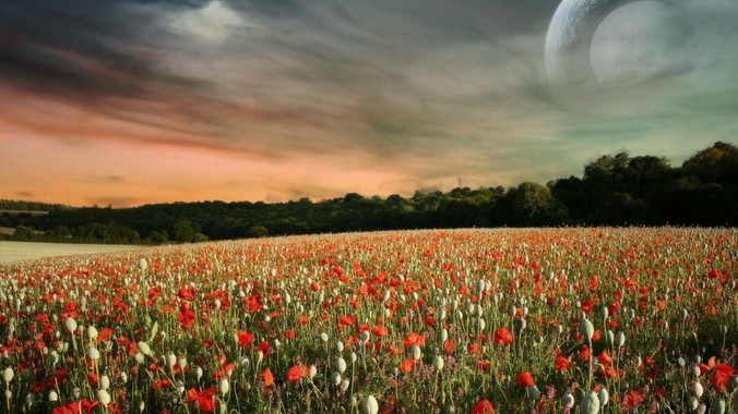 换过电池的苹果手机内部发现被加装了一个部件，有大佬知道这是干什么的吗?